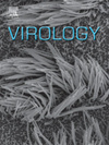 Virology期刊封面